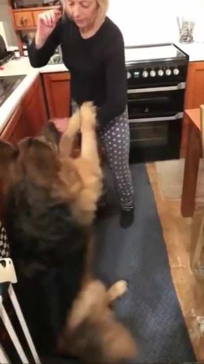 It was going so well