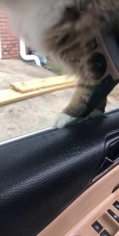 I probably shouldn’t have distracted him