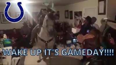 I will not be able to watch most games this year but I will be there in spirit