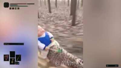 POV: You're travelling through the forest in Elden Ring