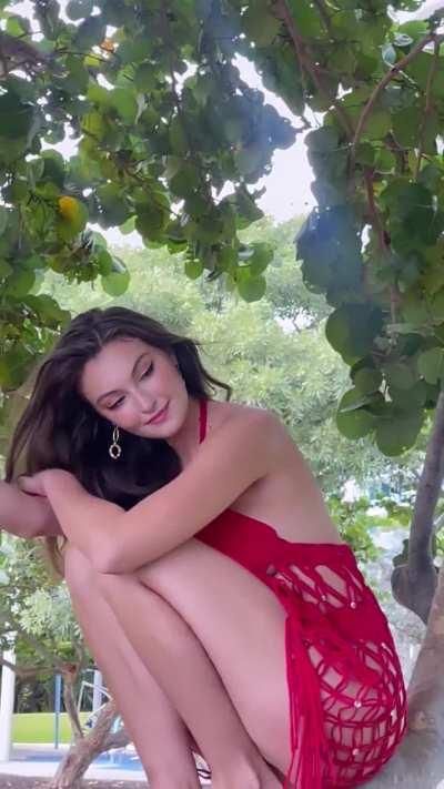 Photoshoot in a tree 