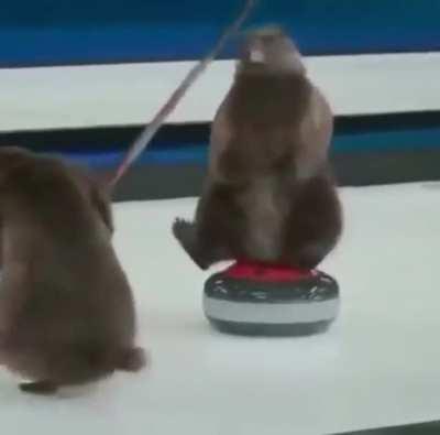 Blursed Curling