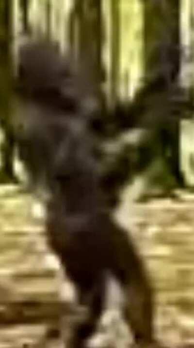 Vídeo do Muquinha dançando retirado da última camada da deep web!