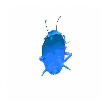 Here Have A Roach Gif That Works