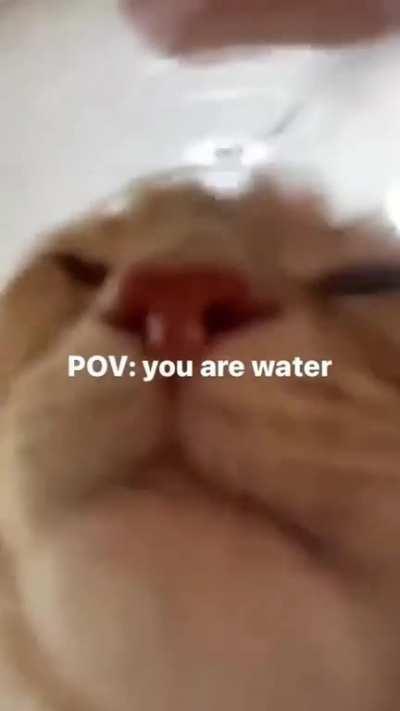 Hmmmm water