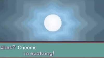 Meet cheems’ evolution.