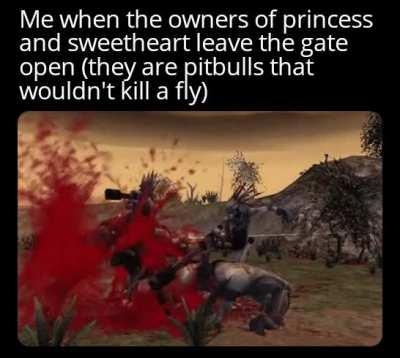 This didn't happened to me (yet)