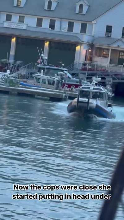 A buoyant individual tries to drown herself.