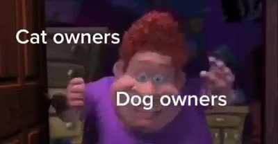 Dog owners