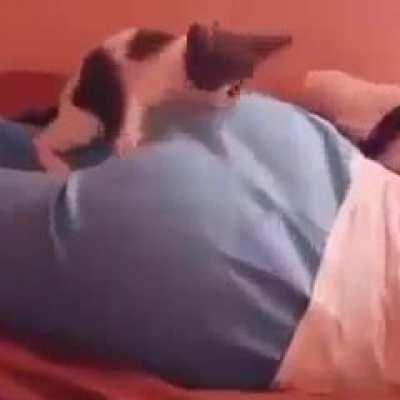 Ahhhahahaha kitty monch the butt