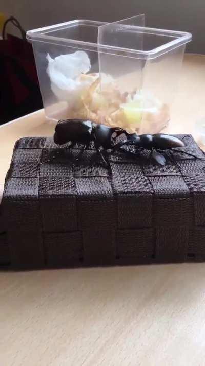 Your people need you!