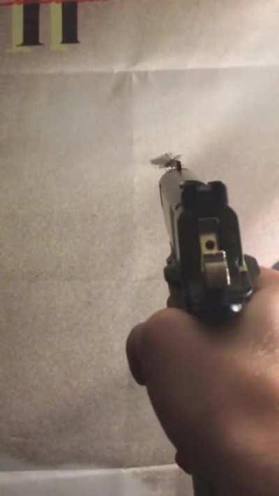 Fly said 💥 (warning: loud pop)