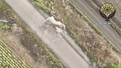 Ukrainian 110th Mechanized Brigade's UAS Battalion destroyed numerous Russian ambush drones. 02.09.2025