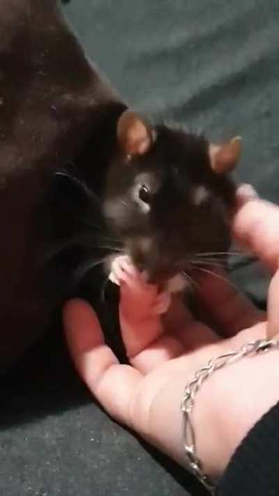 He's holding the big grabbie with his lil grabbies.