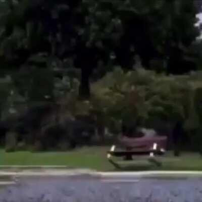 Los pajeros al darse cuenta que la doomergvng no era una página porno (me incluyo soi gei)