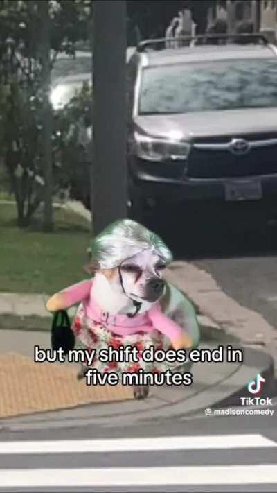 Just a gal telling a story about a praying mantis 