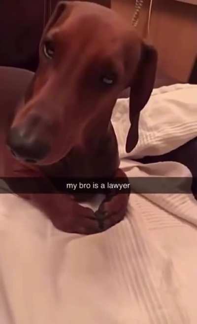 Bro is about to make you an offer that you can’t refuse