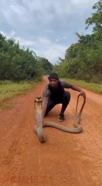 For what purpose does he do this?