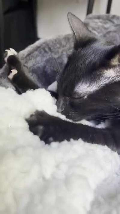 I was told my little bean would fit in here nicely. How can something be so cute, yet so dangerous?