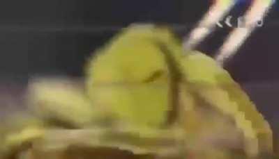 whopper commercial real 100% not fake and that's no cap