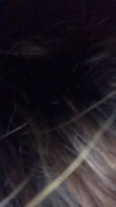 @sheluvs.tayah <Instagram. Come suck my dick baby😩😩🤪