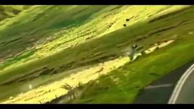 guy falls off cliff while in a motorcycle race