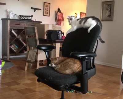 “Please just let me sleep”