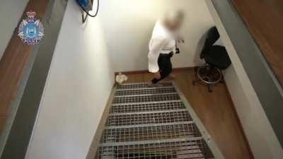 Darnit! We have lost our mate.