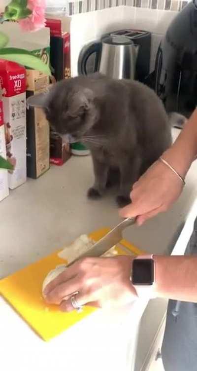 to watch onions being cut