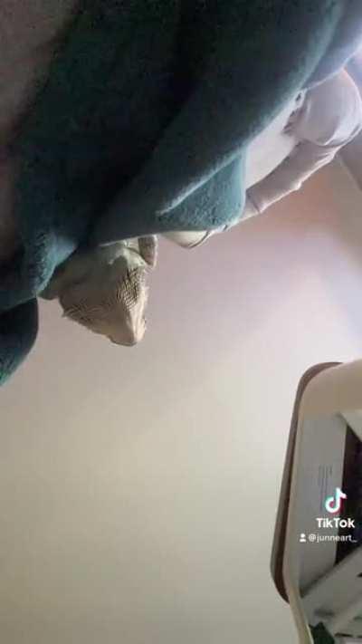 Good way to go in my opinion