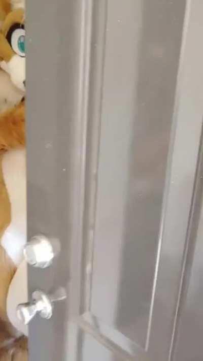 [NSFW] Thanks, I hate Halloween