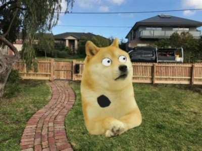 Le Signs have arrived.