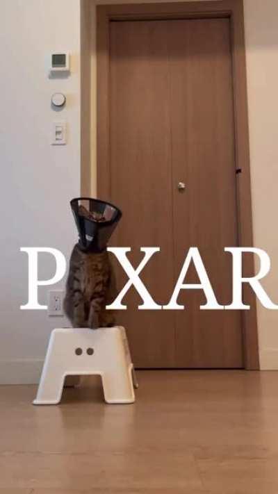 Pixar Cat Intro