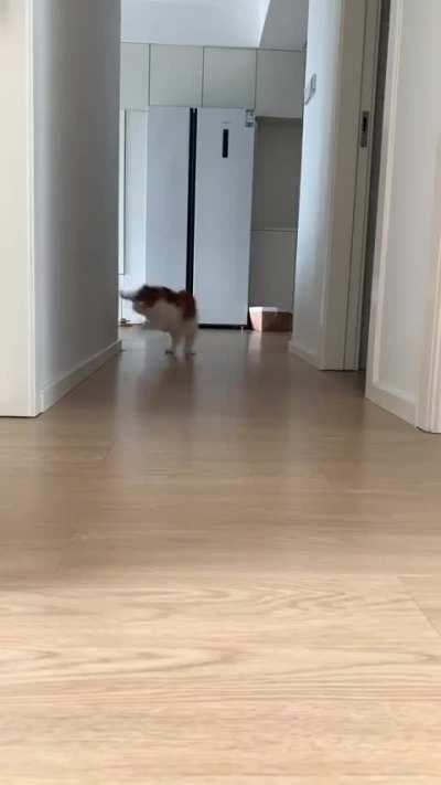 That boop off the corner wall.