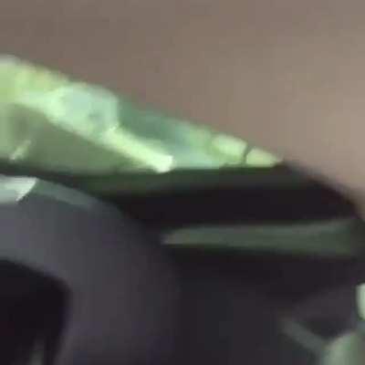 How about a quick race?