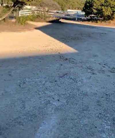 Sneakybeaky be like...