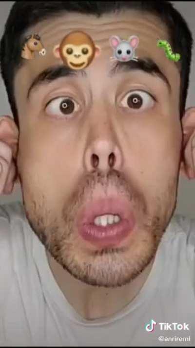 What the actual fuck