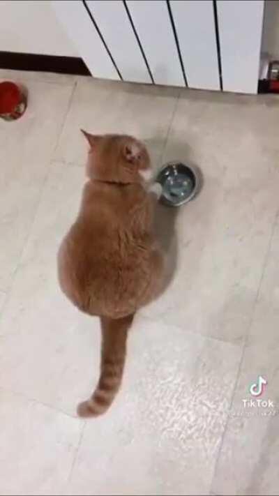 “Now I call this song; I’m starving”