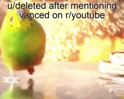 [Meme]. Based on a true story.