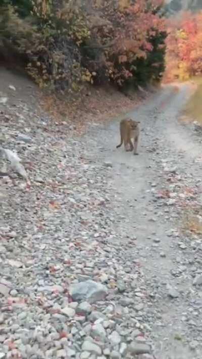 Even I died a little watching this