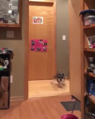 They Had Carpet In The Old House