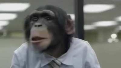 Shoutout to my homies over at r/wallstreetbets