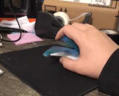 Smol birb poses as computer mouse to steal snugs during work hours. The imposter is armed and dangerous. If encountered, give scritches immediately.