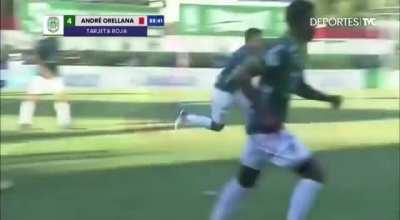 I'm guessing he got sent off for picking up two yellow cards at the same time?