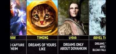 What each Skyrim character dreams of