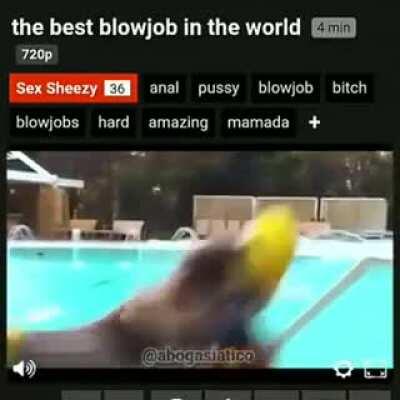 Nooooo Tulio que haces