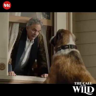 thanks, I hate dog CGI