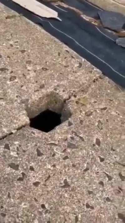 I just want to know what the heck happened.