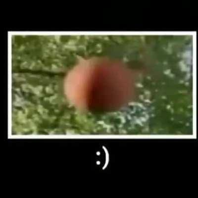 smurfdomuca - Video #6362