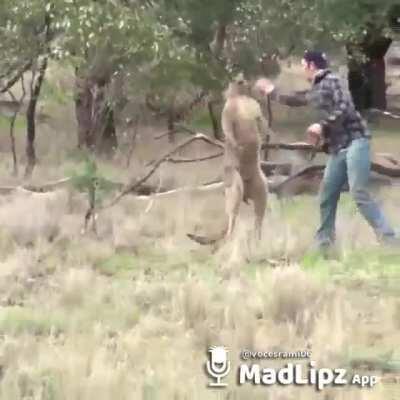 DEJA A MI FIRULAIS CTM >:(